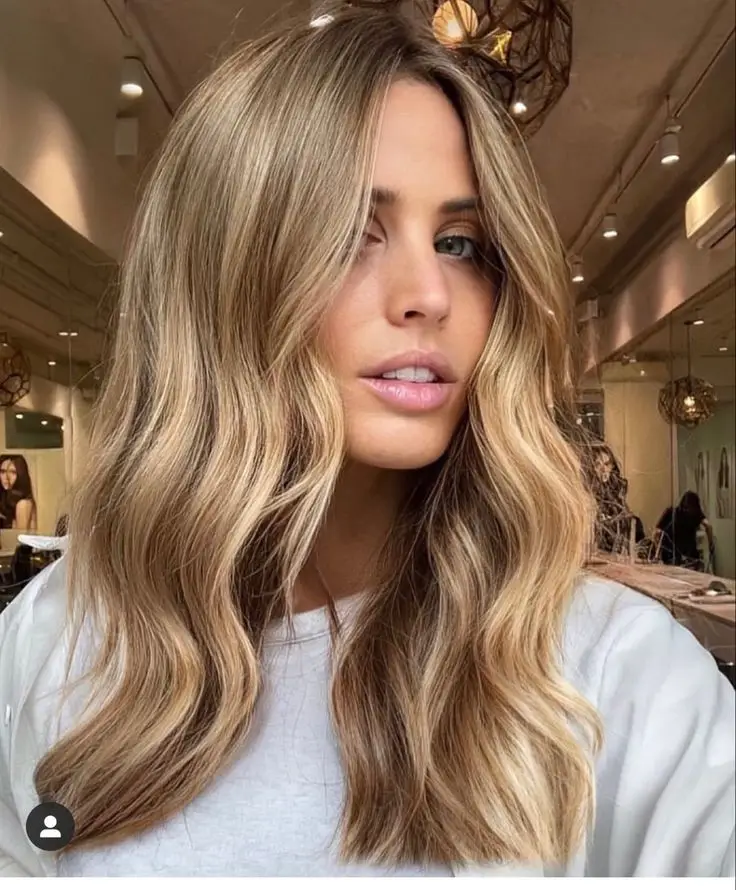 Sophisticated Half-Up Brunette with Loose Tendrils